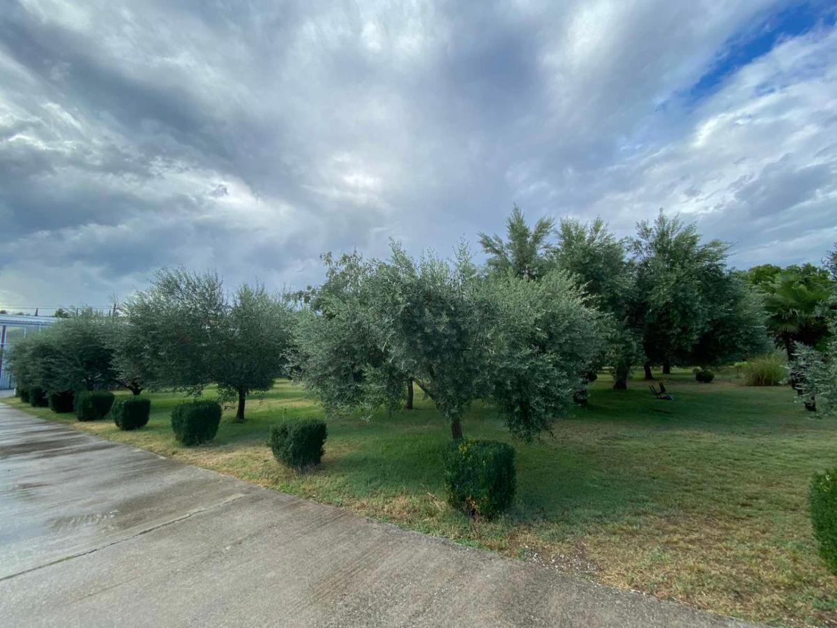 Olive Apartment Podgorica Bagian luar foto