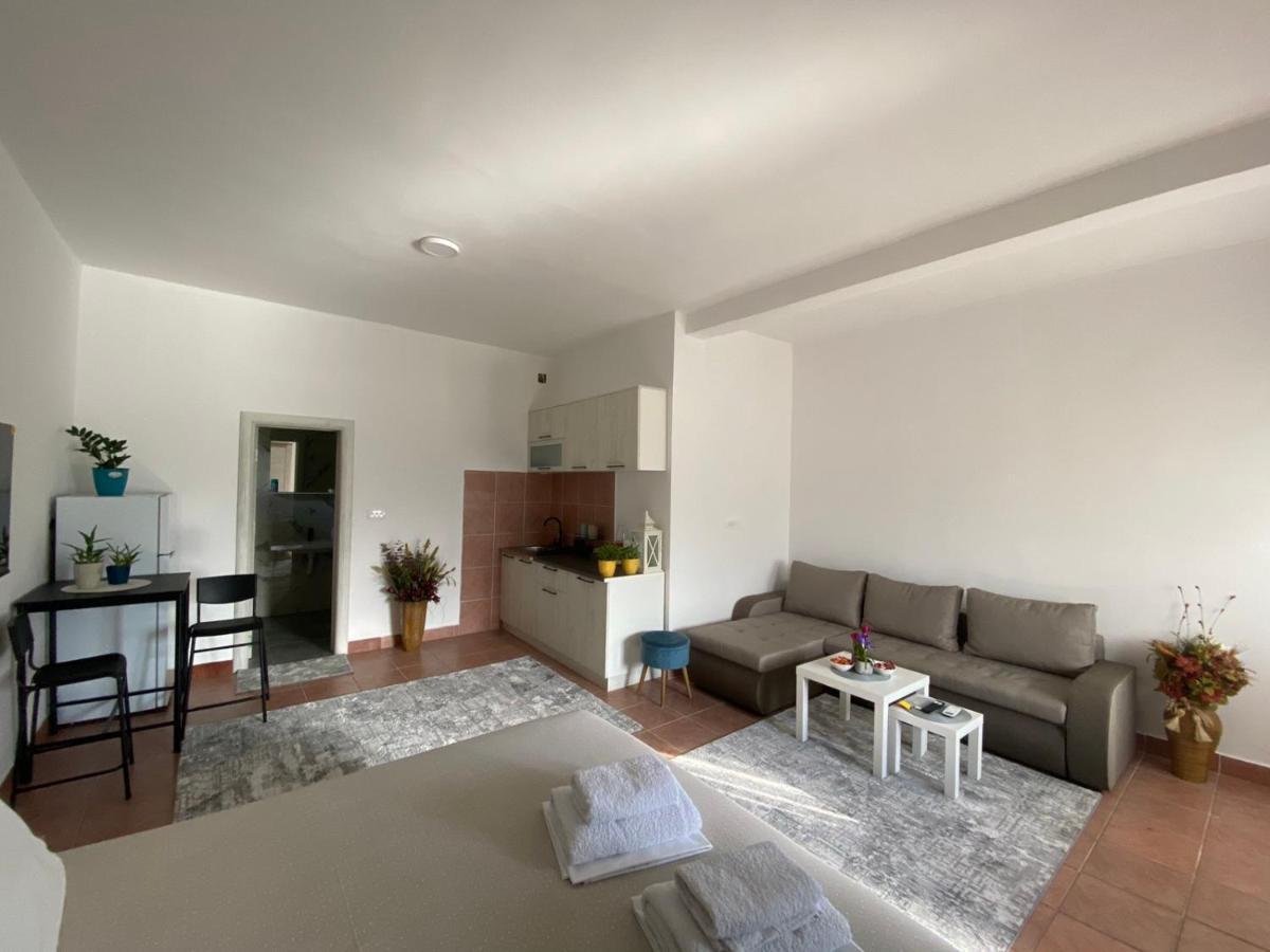 Olive Apartment Podgorica Bagian luar foto