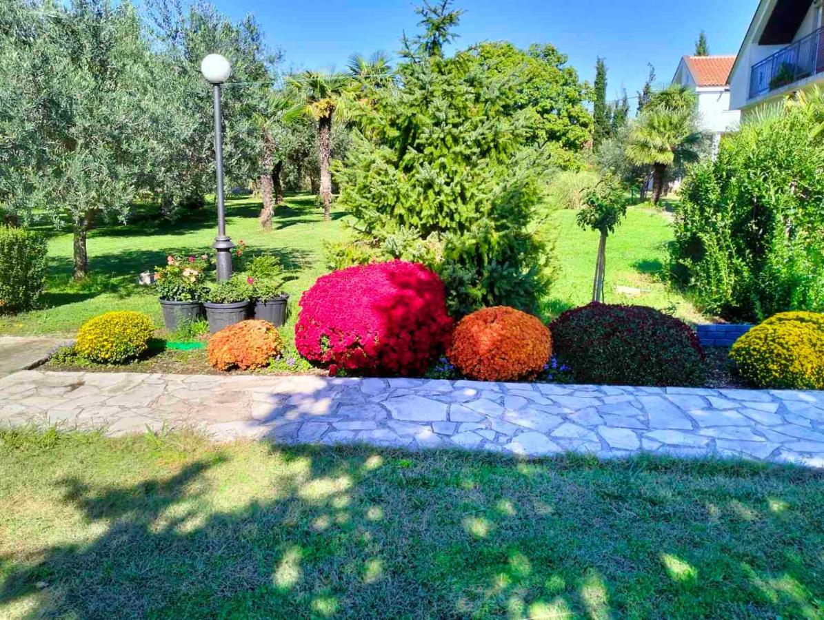 Olive Apartment Podgorica Bagian luar foto