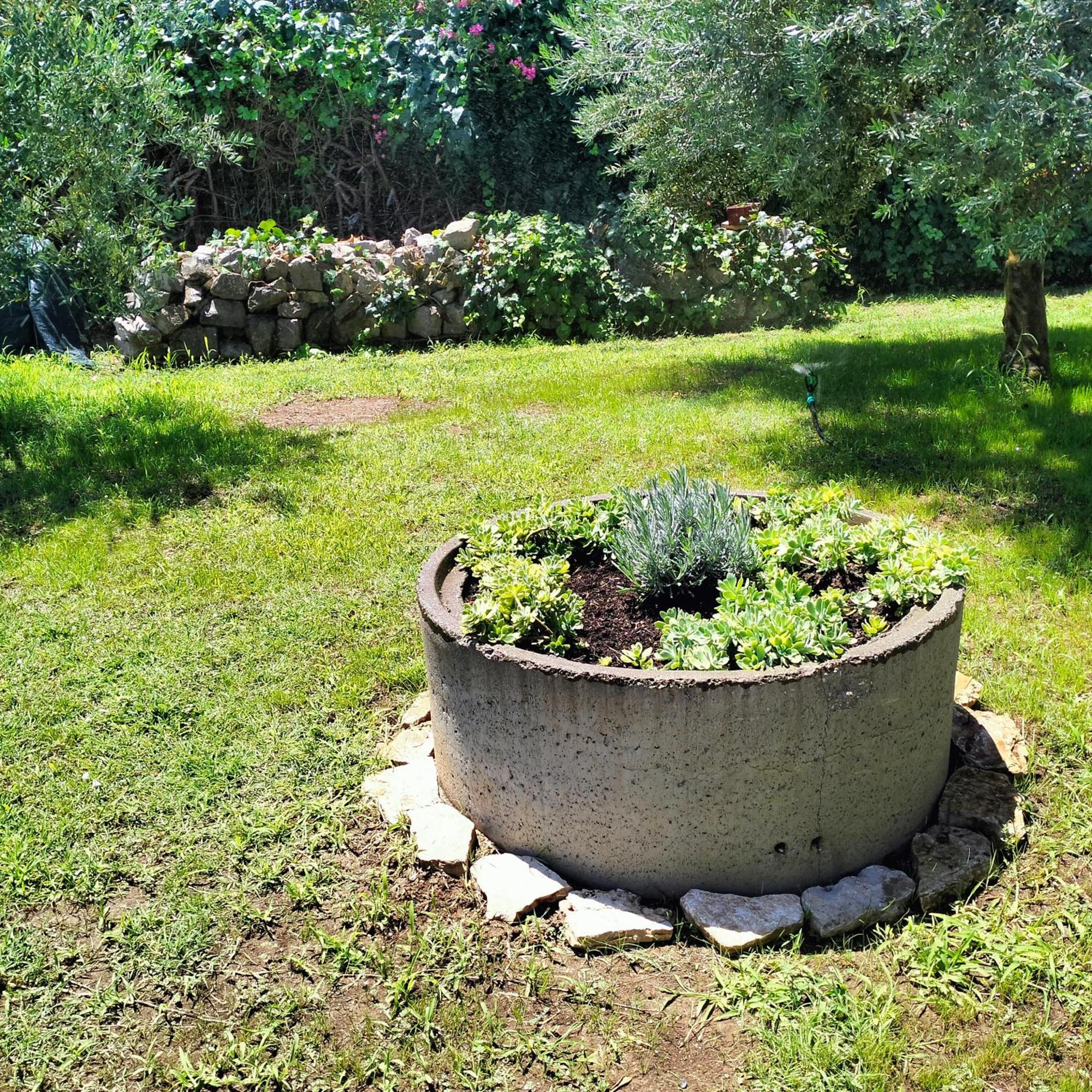 Olive Apartment Podgorica Bagian luar foto