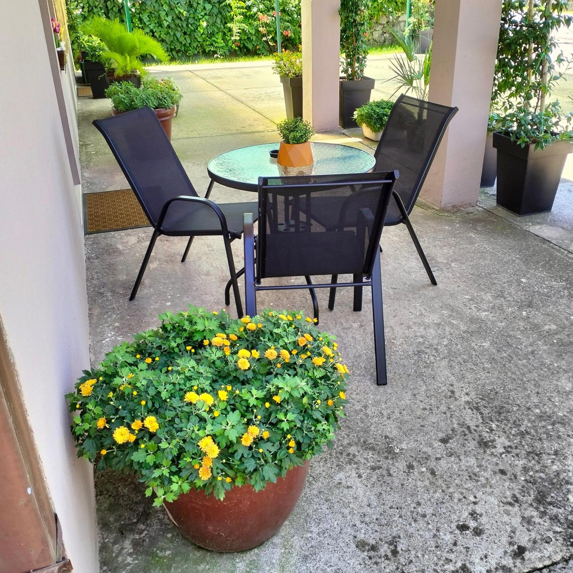 Olive Apartment Podgorica Bagian luar foto