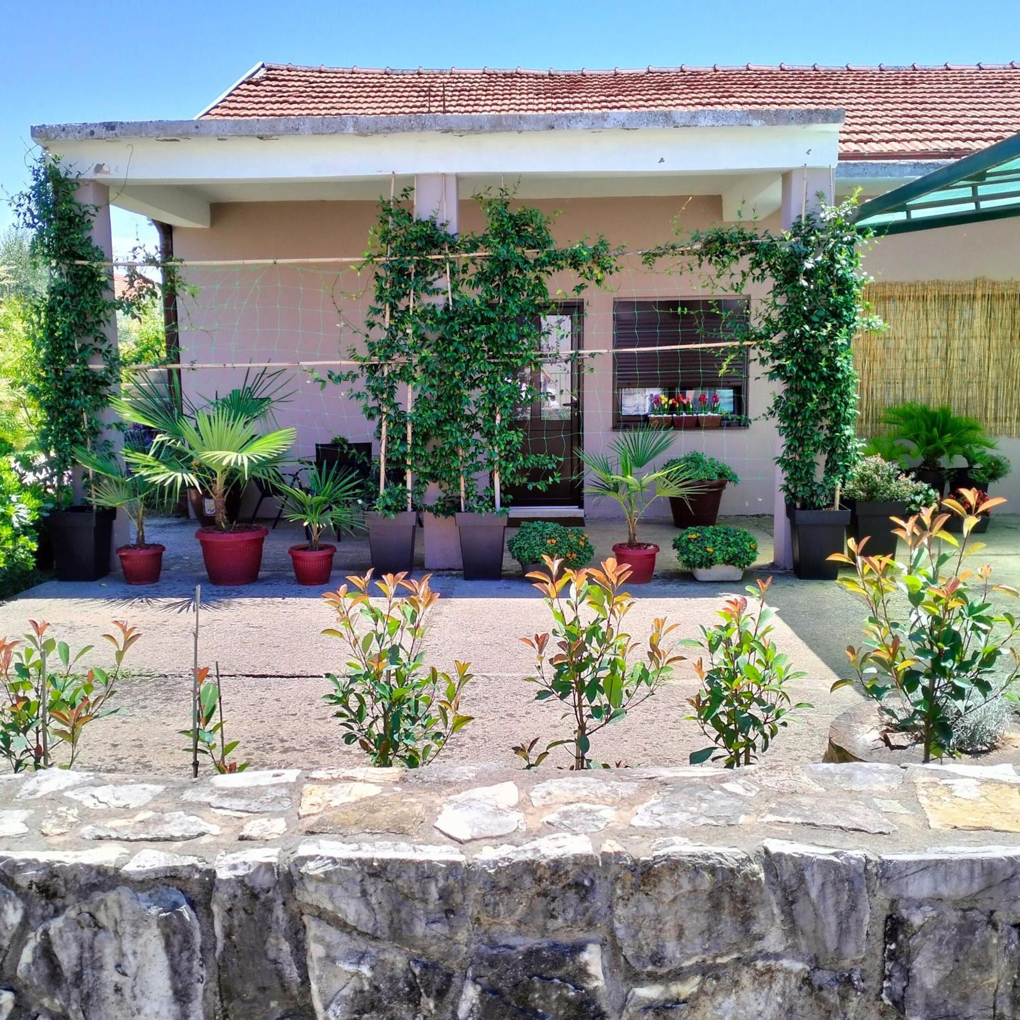 Olive Apartment Podgorica Bagian luar foto