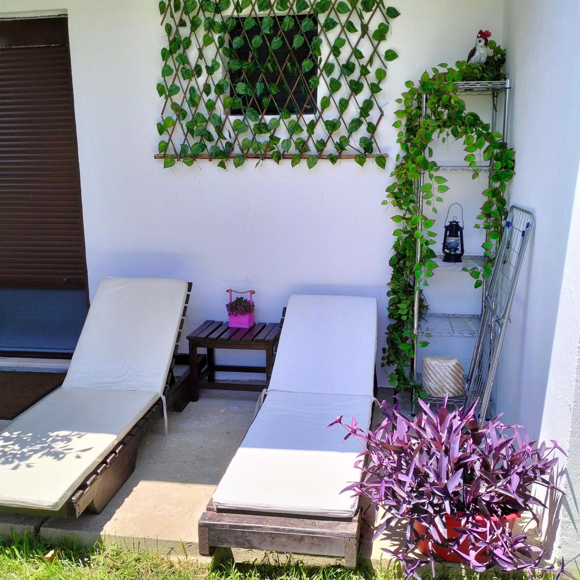 Olive Apartment Podgorica Bagian luar foto