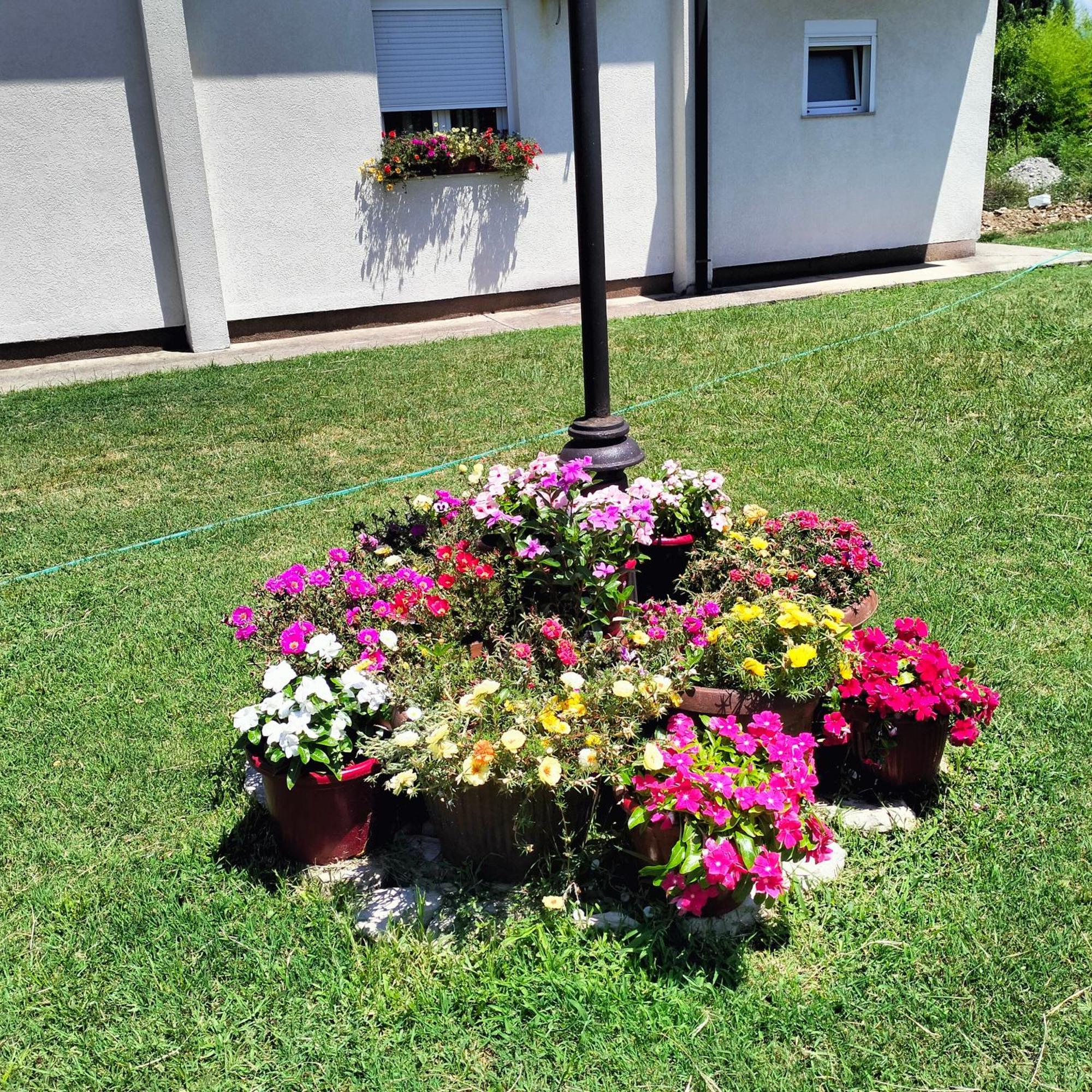 Olive Apartment Podgorica Bagian luar foto